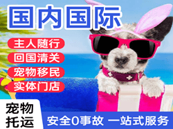呼伦贝尔机场托运国际宠物托运 【国